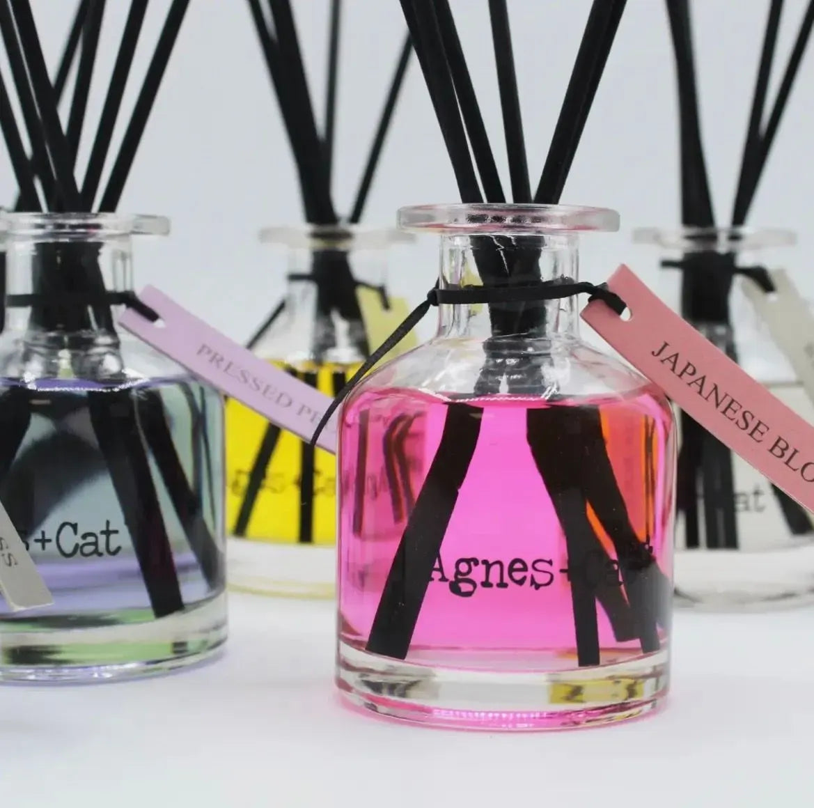 Agnes + Cat Sea Salt & Moss Reed Diffuser 140ml