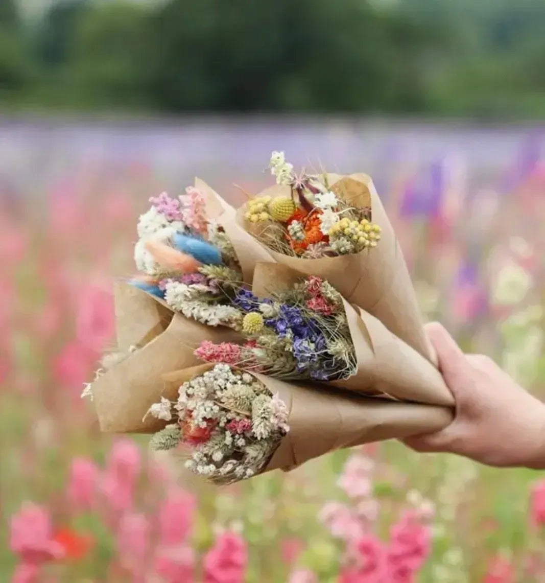 Dried Blushing Meadow Bouquet