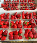 Cheddar Valley Strawberries 227g