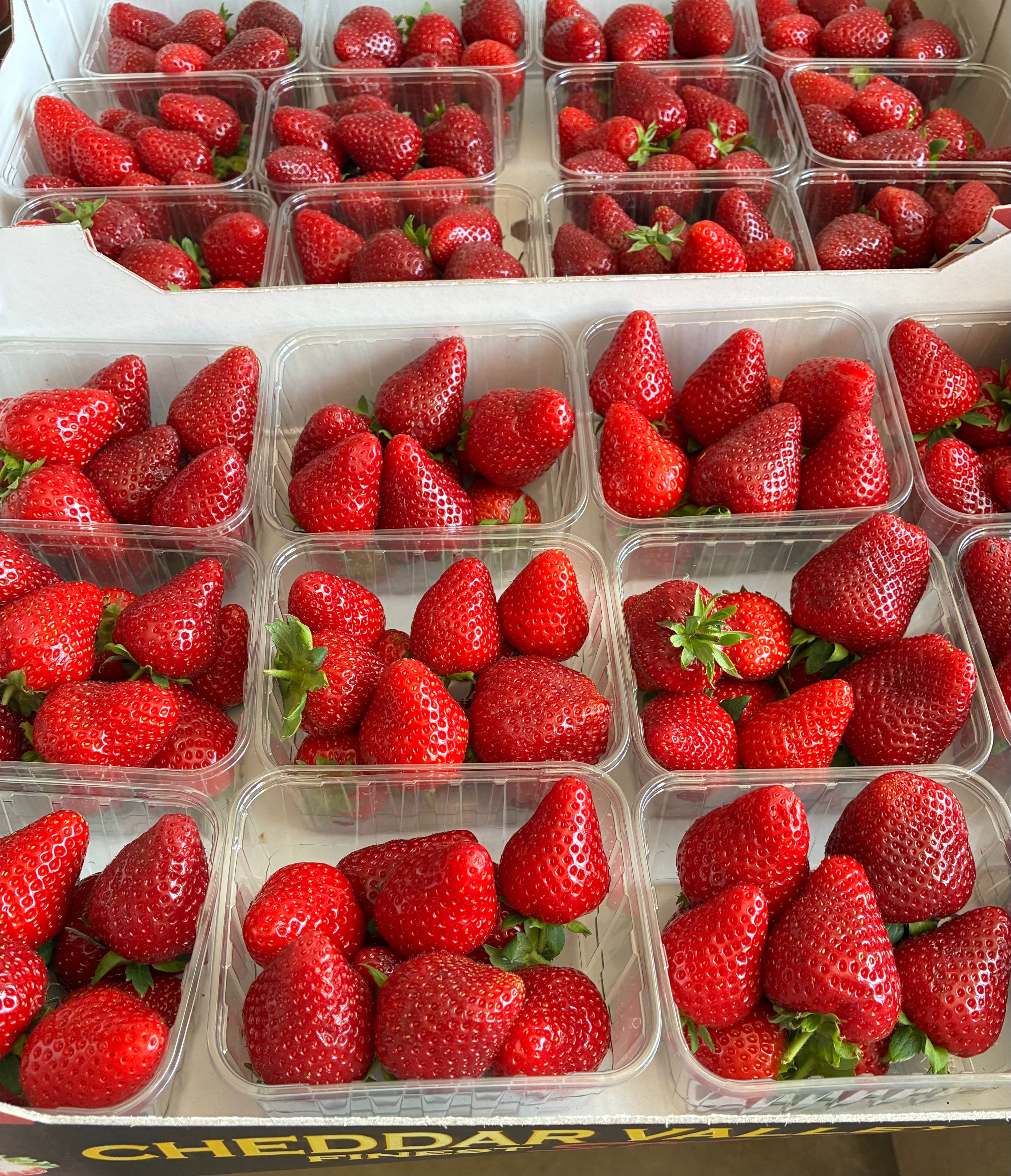 Cheddar Valley Strawberries 227g