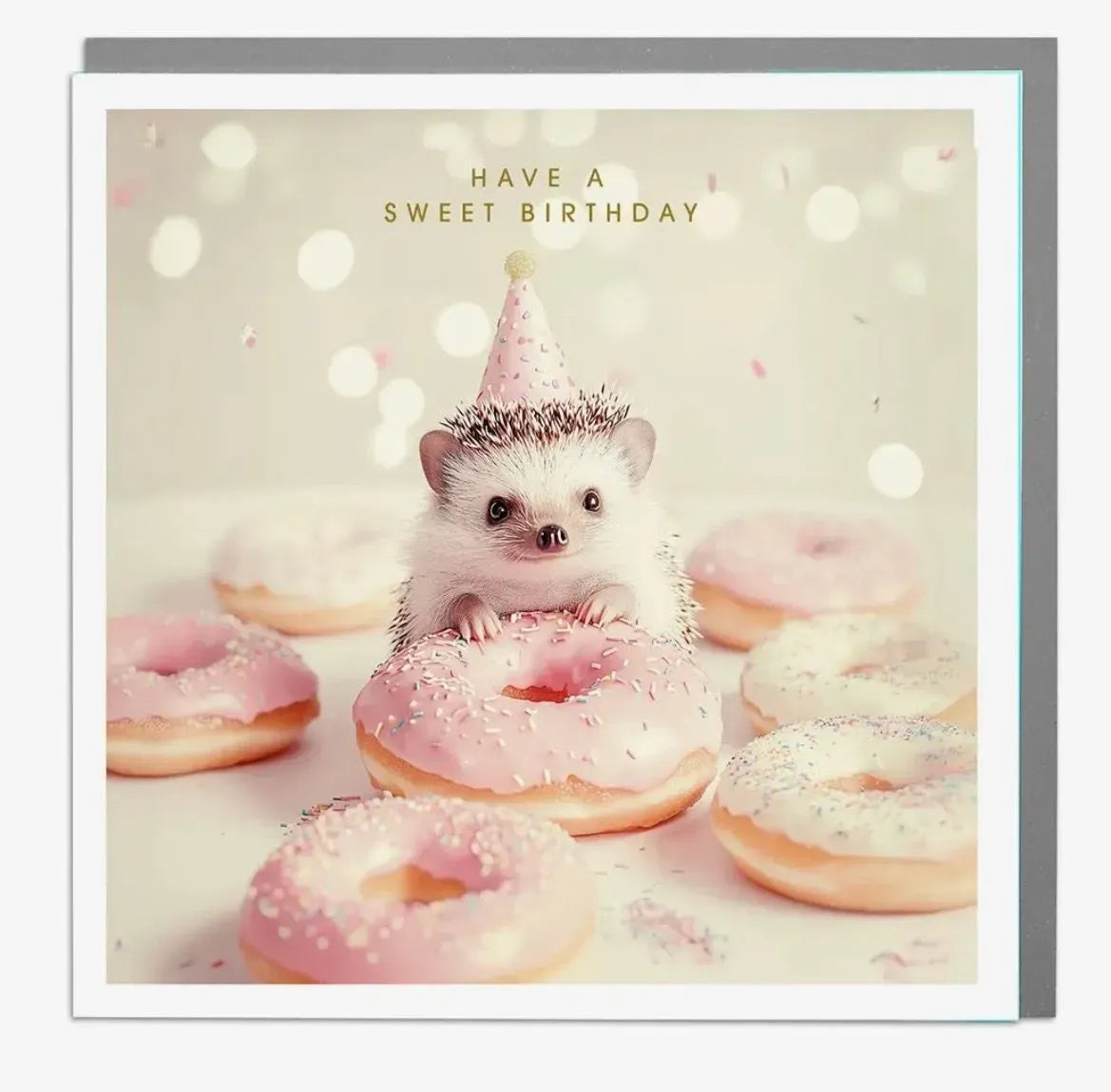 Hedgehog Birthday Card