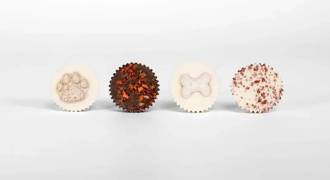 Rugfingtons Canine Cupcakes 9pk