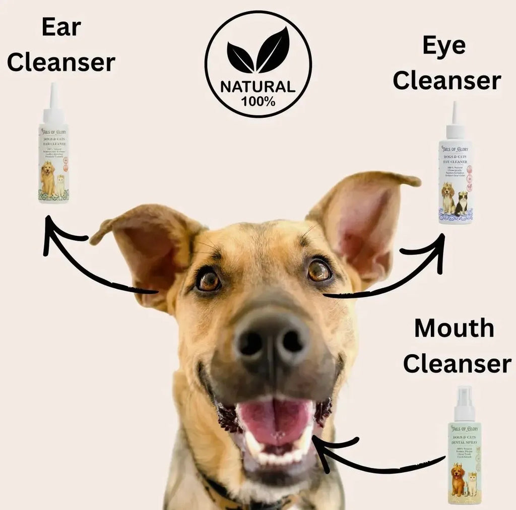 Tails Of Glory Pet Eye, Ear and Mouth Cleaning Pack