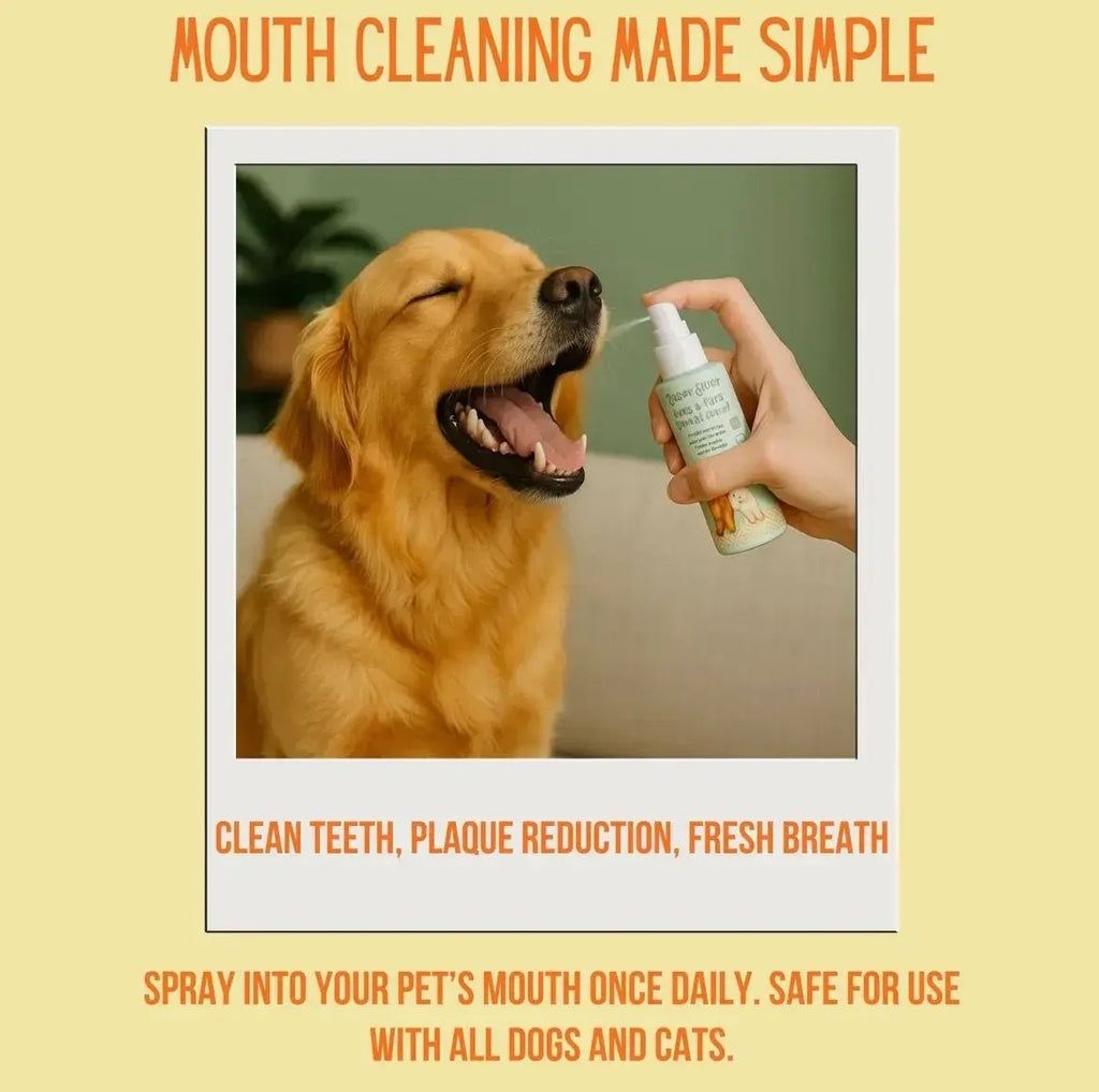 Tails Of Glory Pet Eye, Ear and Mouth Cleaning Pack