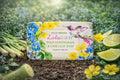 Wild Lemongrass & Lime Leaf - Hummingbird Soap